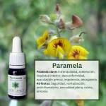 Paramela – Bosque Profundo Andessence