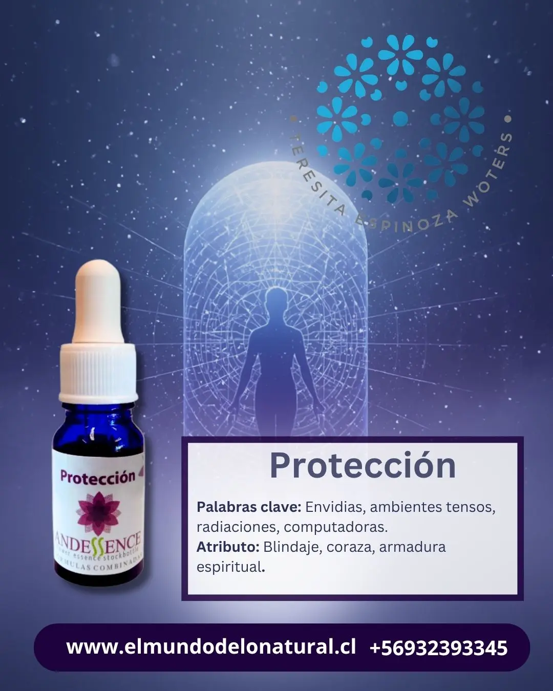 Proteccion 10 Protección – Fórmulas Combinadas Andessence - Imagen 1