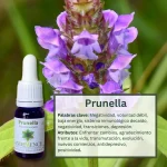 Prunella – Bosque Profundo Andessence