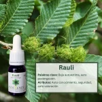 Sequoya – Bosque Profundo Andessence