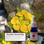 Rosita Amarilla – Desierto Florido Andessence