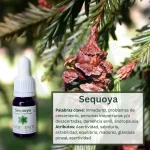 Sequoya – Bosque Profundo Andessence