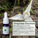 Orquídea Trinidad – Bosque Profundo Andessence