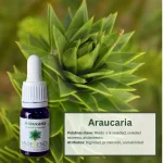 Araucaria – Bosque Profundo Andessence