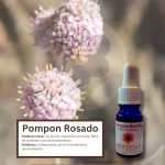 Pompón Rosado – Desierto Florido Andessence