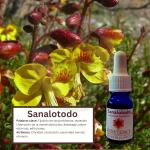 Sanalotodo – Desierto Florido Andessence