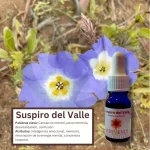 Suspiro del Valle – Desierto Florido Andessence